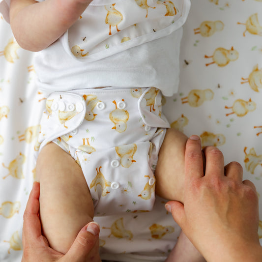Chickie Cloth Nappy | One Size Fits Most