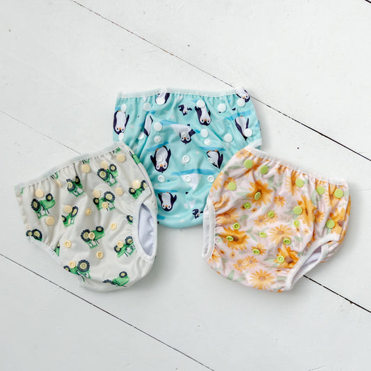 Arctic Penguins Swim Nappy