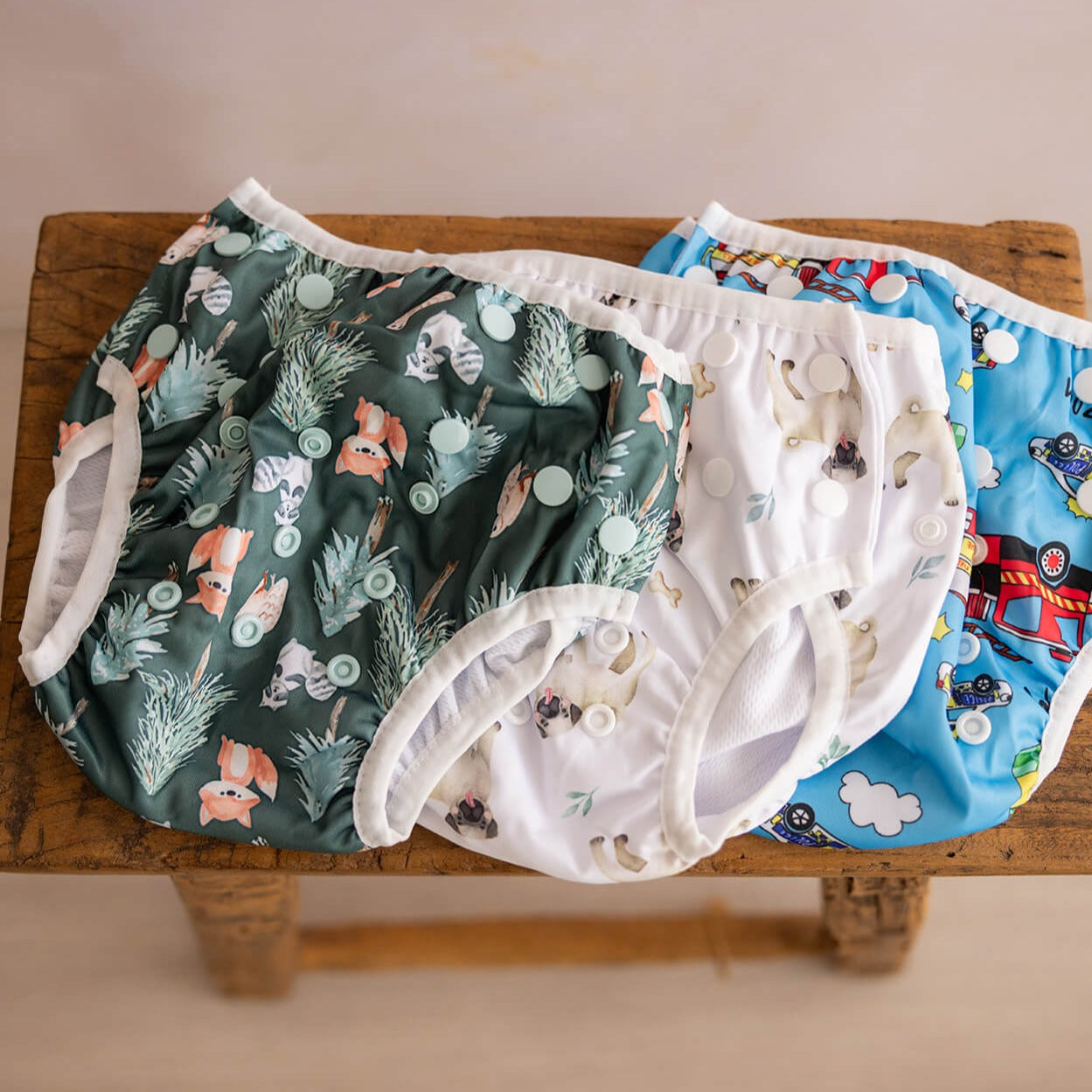 Bear & Moo Reusable Swim Nappy in Pugs