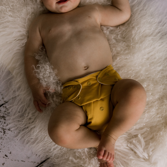 Mustard Reusable Cloth Nappy from Bear & Moo